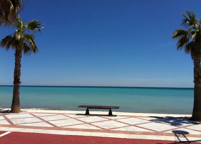 Petit * El Albir